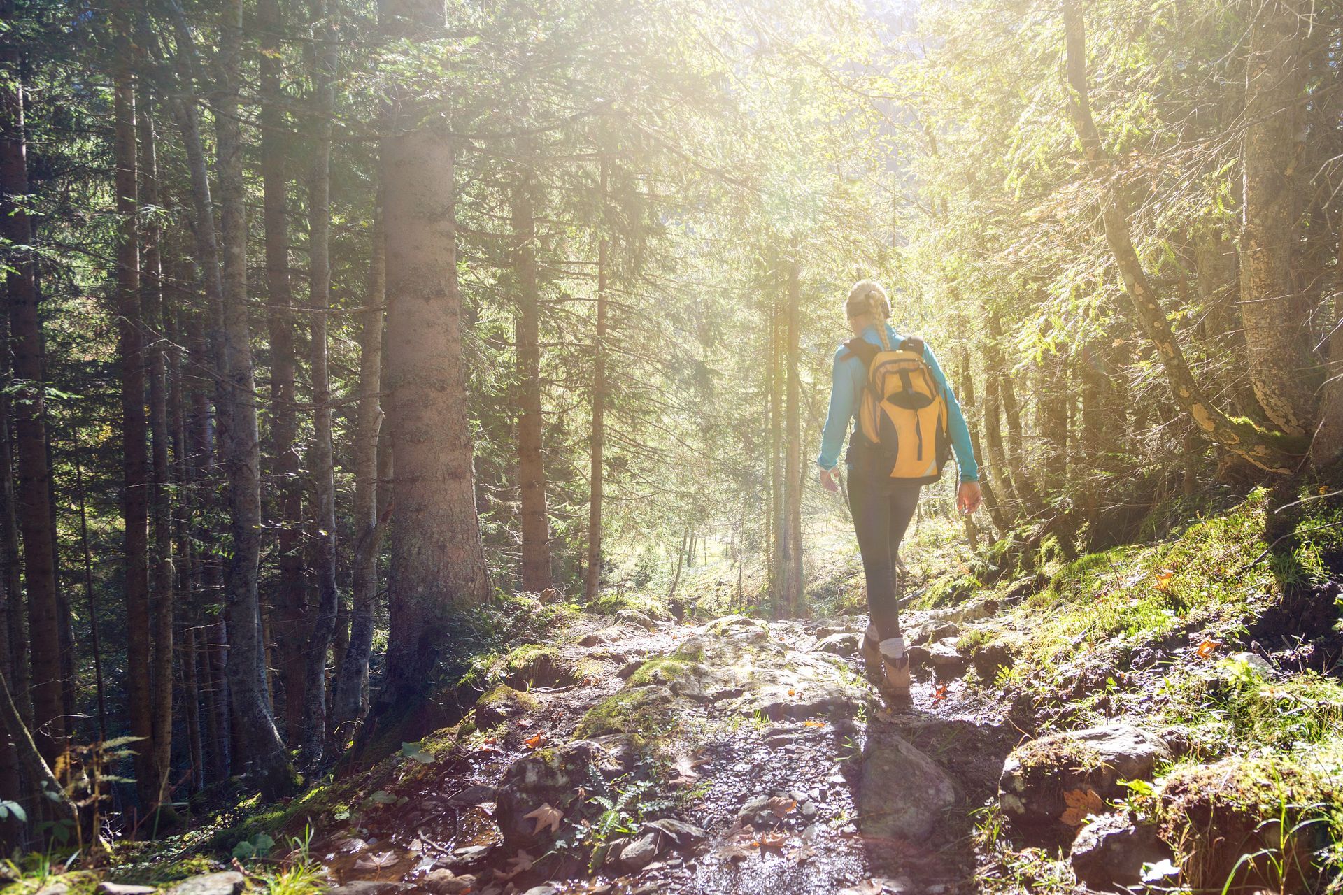 Hiker with yellow backpack walking along a sunlit forest trail