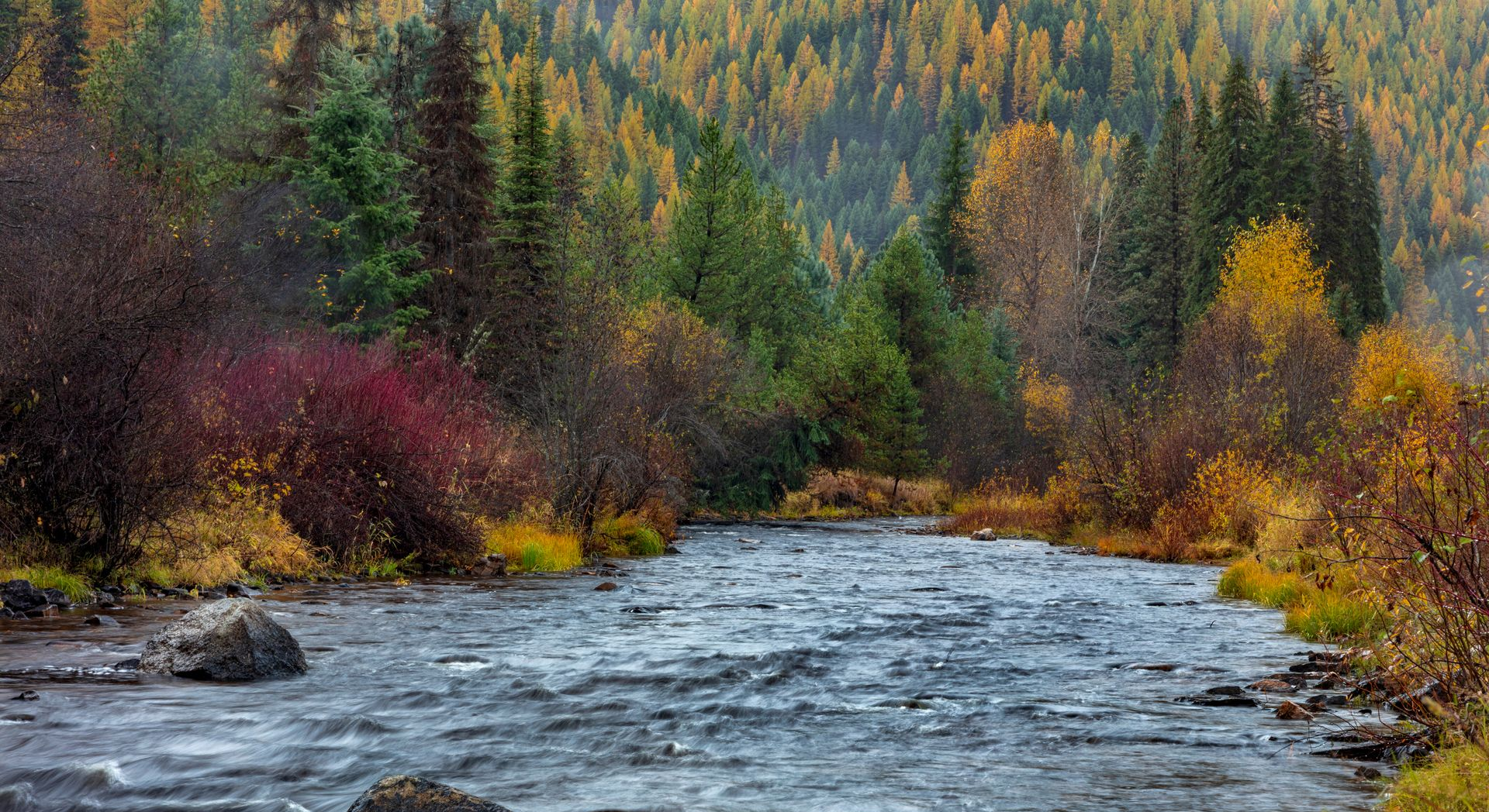 Autumn forest river with colorful trees and flowing water