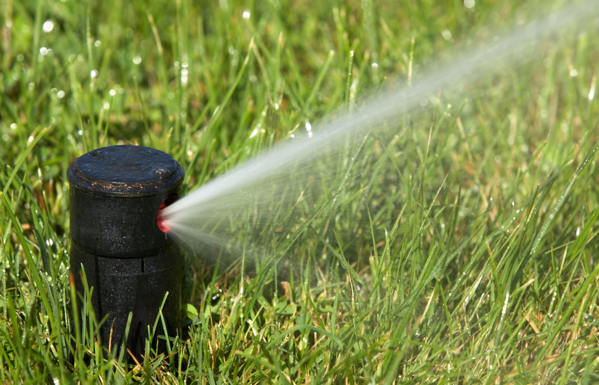 Sprinkler System Repair Pasco County