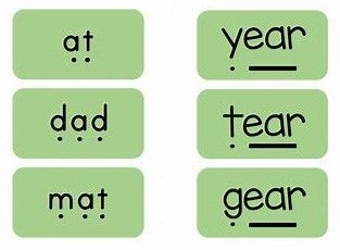 Green cards with word examples, including 