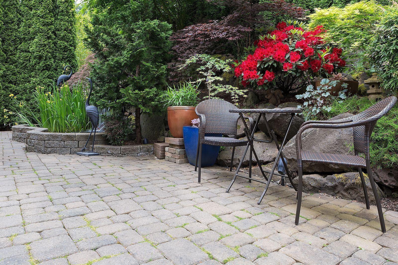 Landscape Company Near You Landscape Company Near You