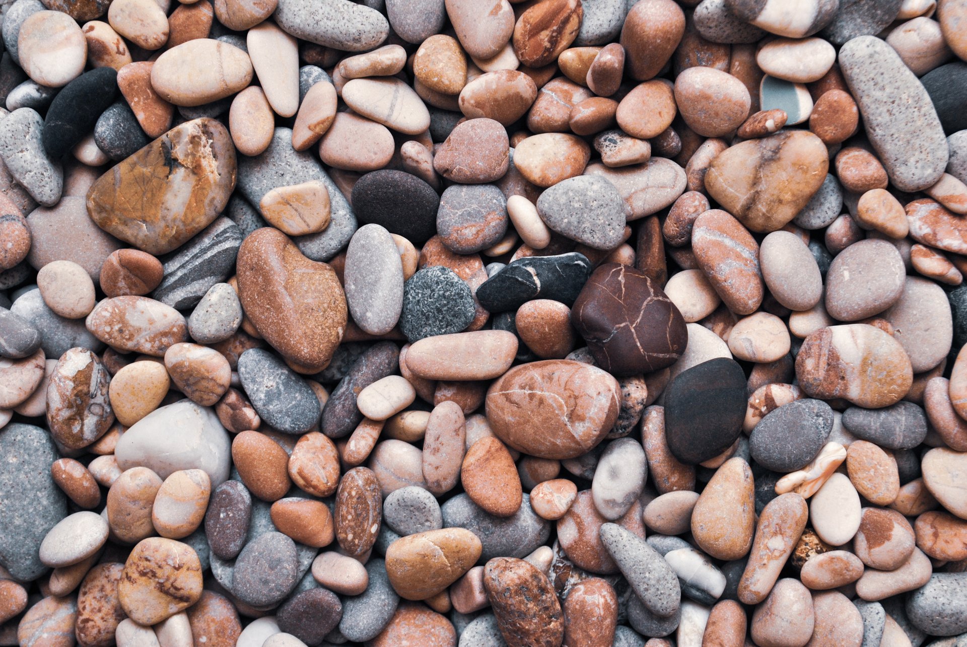 PIERRE DEF visual data 2