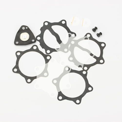 Revisieset compleet voor benzinepomp 35l DF52-82