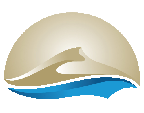 Robert A. Warner & Associates Inc.