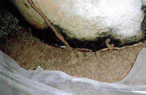 Mud tubes built by termites on the side of a concrete foundation wall in a crawl space.