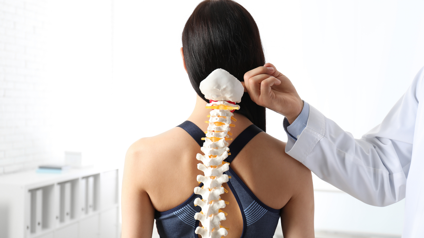 Doctor examining woman's spine using a model in a bright office setting.
