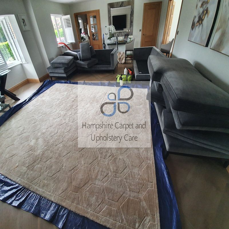 Luxry sofa and rug cleaning