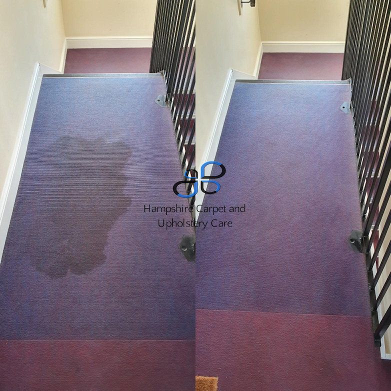 Property Management Carpet Cleaning