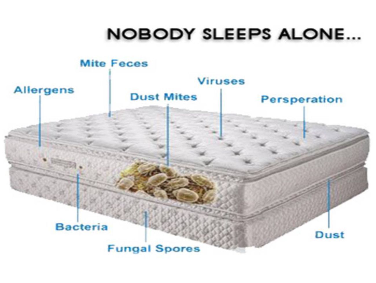 Mattress Cleaning Basingstoke