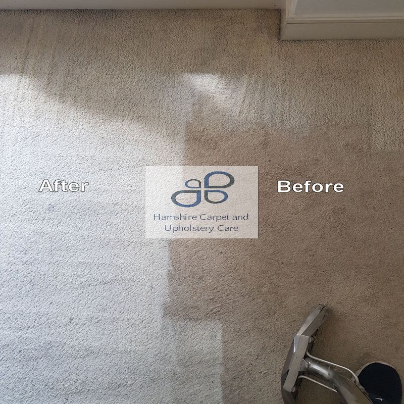 Filthy Carpet Cleaned