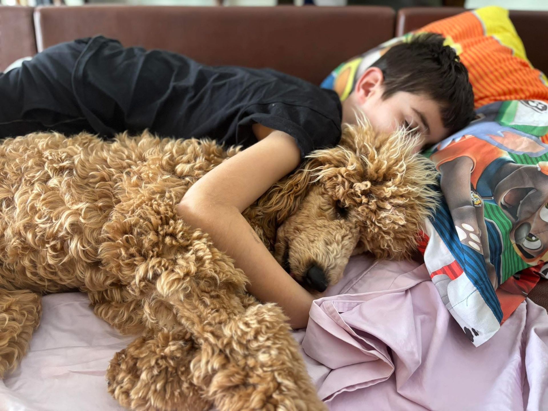 Child hugging a curly brown dog on a bed, resting on colorful blankets