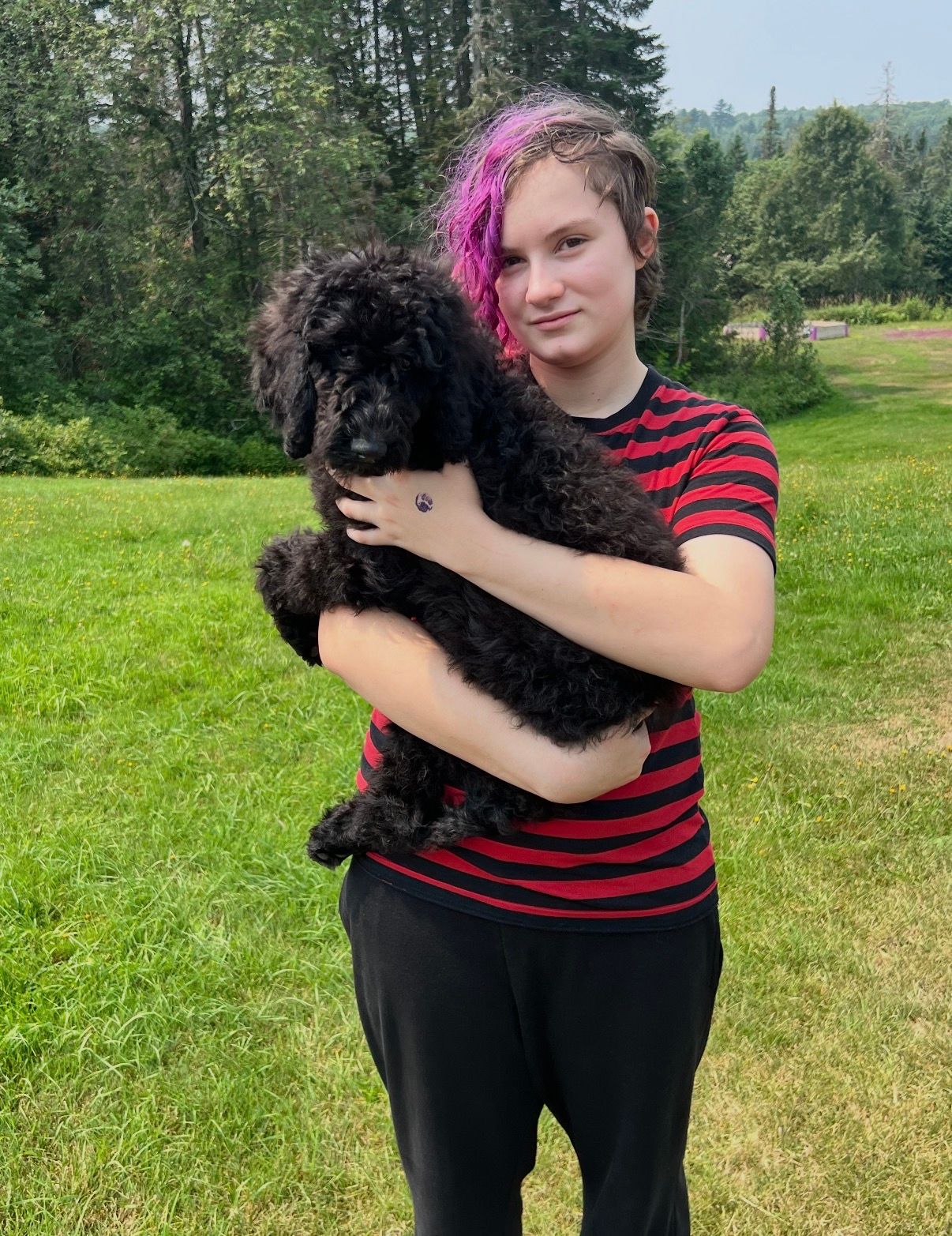 Person holding a curly black dog on a grassy lawn, wearing a red-and-black striped shirt.