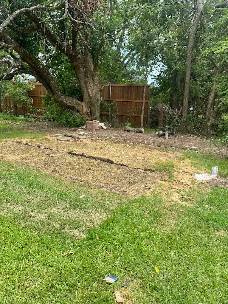 A rectangular garden bed covered in straw sits in a backyard next to a large tree and a wooden fence.