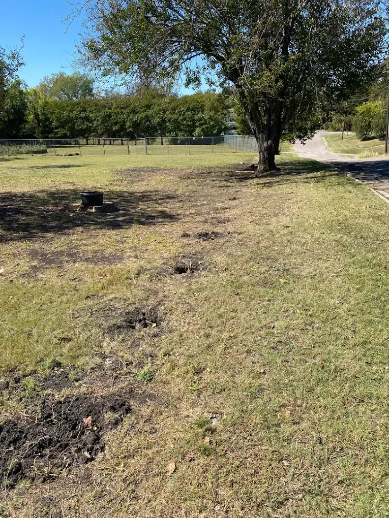 A grassy field with a line of holes dug in the dirt, a tree in the background, and a paved path on the right.