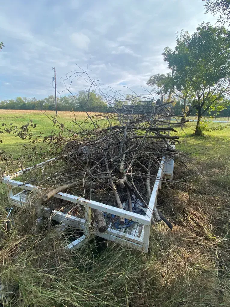 A metal frame trailer sits in a grassy field, piled high with a large stack of dry, leafless tree branches and brush.