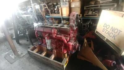 Trucker inspecting semi-truck engine with open hood, bright sunlight.