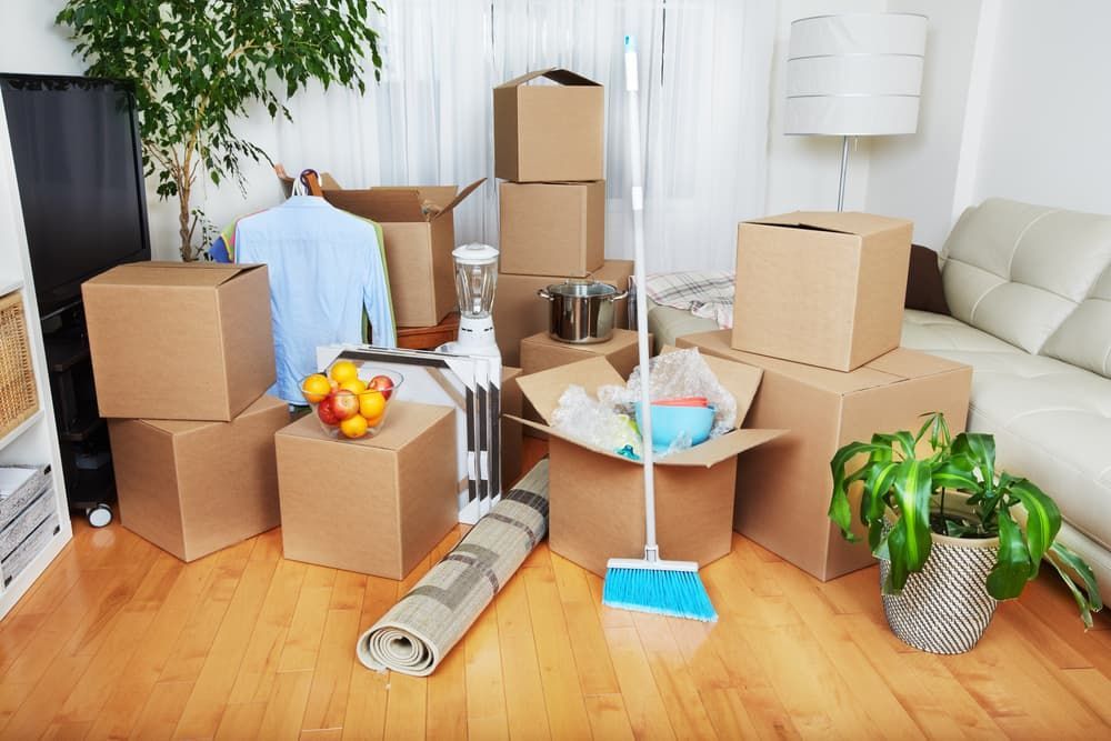A Living Room Filled with Cardboard Boxes — Complete Clean Home Cleaning in Warrawong, NSW