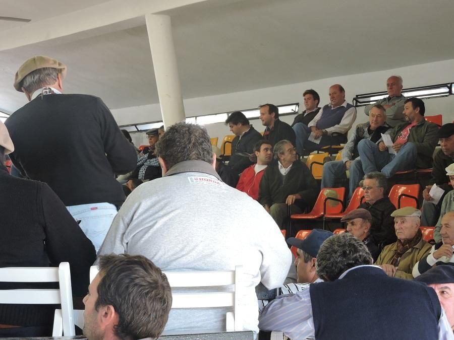 Un grupo de personas está sentado en un estadio viendo un partido.