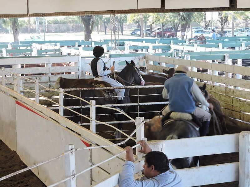 Un grupo de personas montando a caballo en una zona vallada.