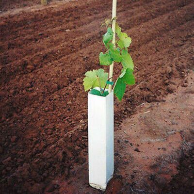 Pulizia fosse biologiche