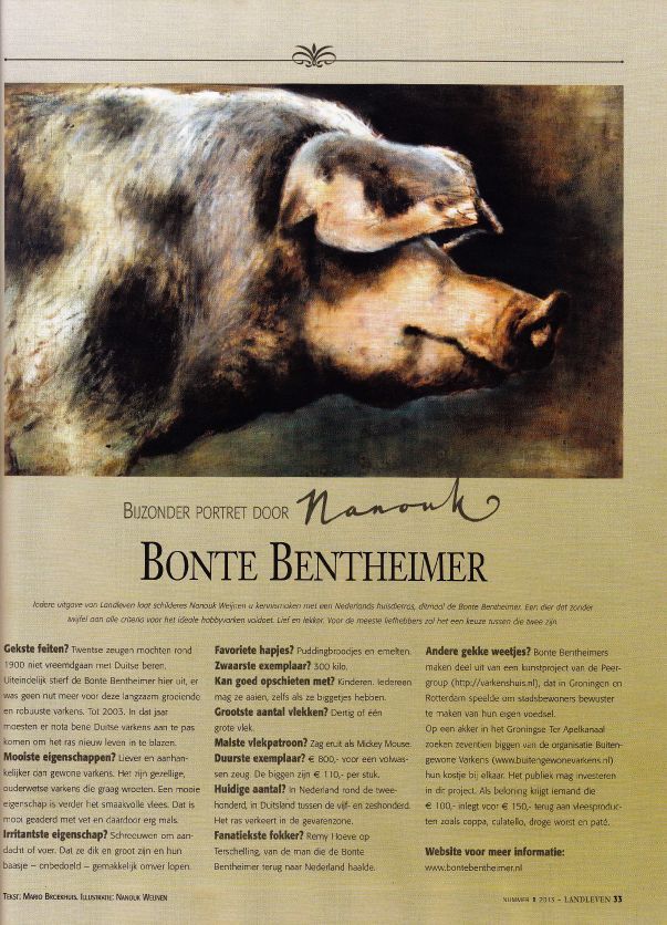 Een afbeelding van een varken op een pagina waarop staat bonte bentheimer