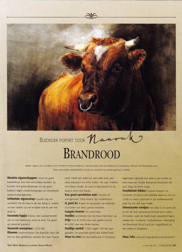 Een poster van een bruine koe met het woord brandrood erop