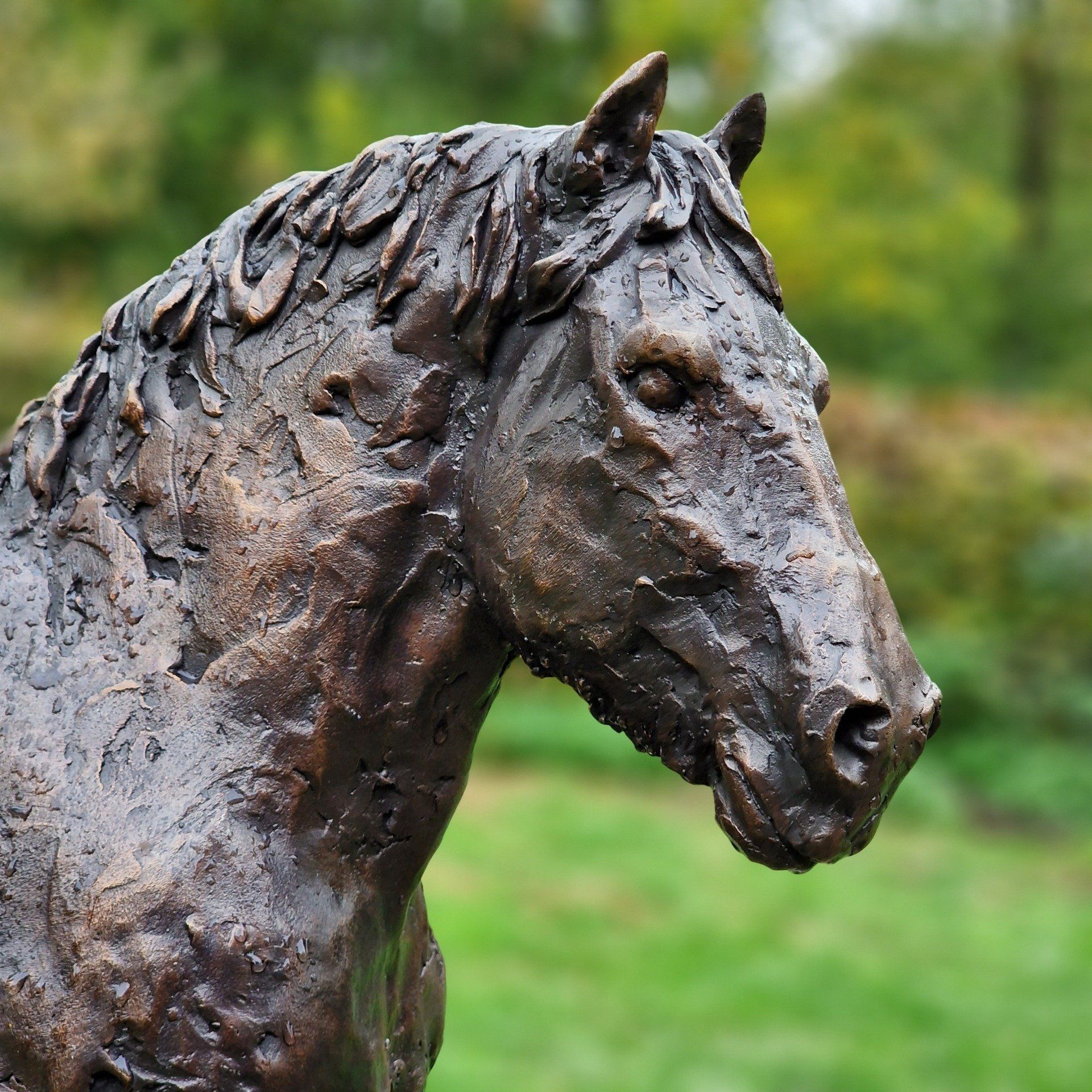 Een bronzen beeld van een paard dat in het gras staat