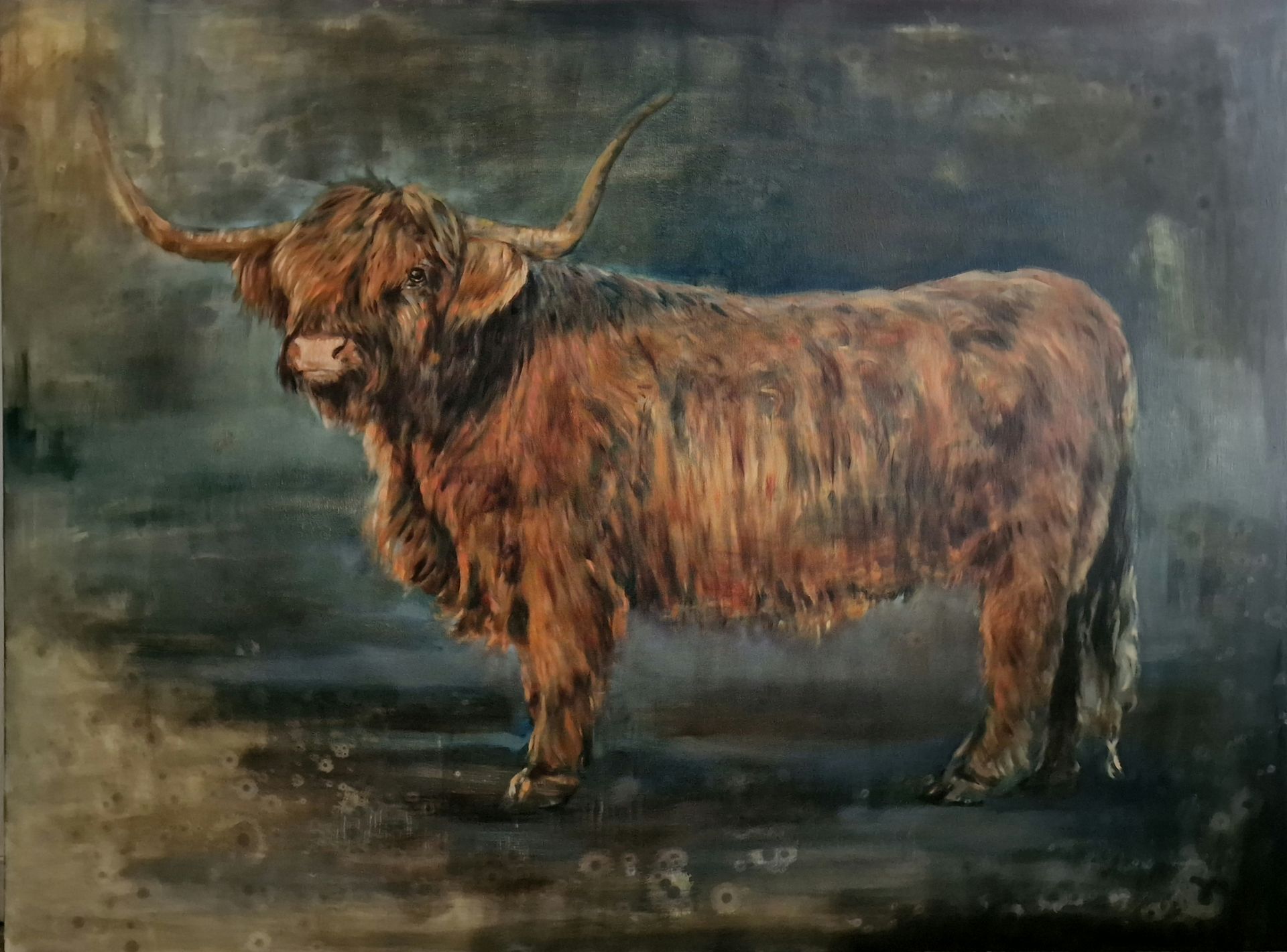 Een schilderij van een hooglander met lange horens, staand op een doek.