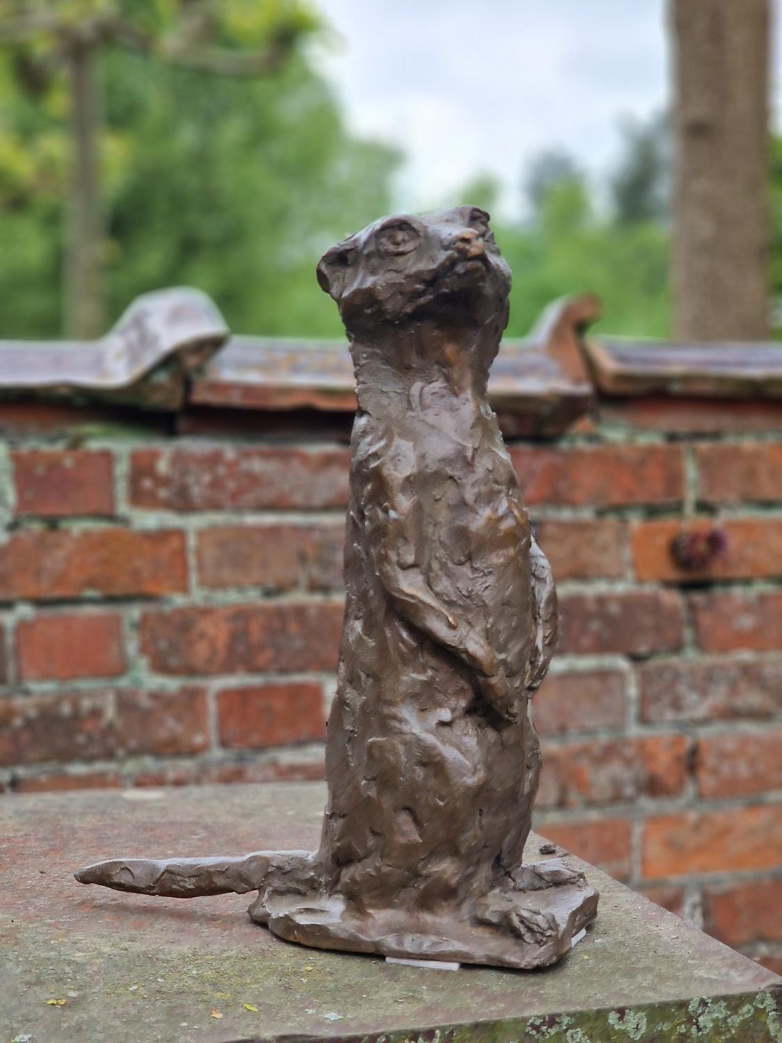 Een bronzen beeld van een stokstaartje dat op zijn achterpoten staat voor een bakstenen muur.