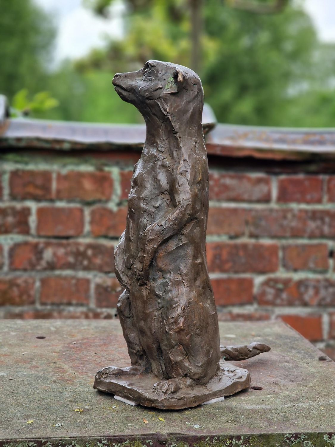 Een bronzen beeld van een stokstaartje dat op zijn achterpoten staat voor een bakstenen muur.