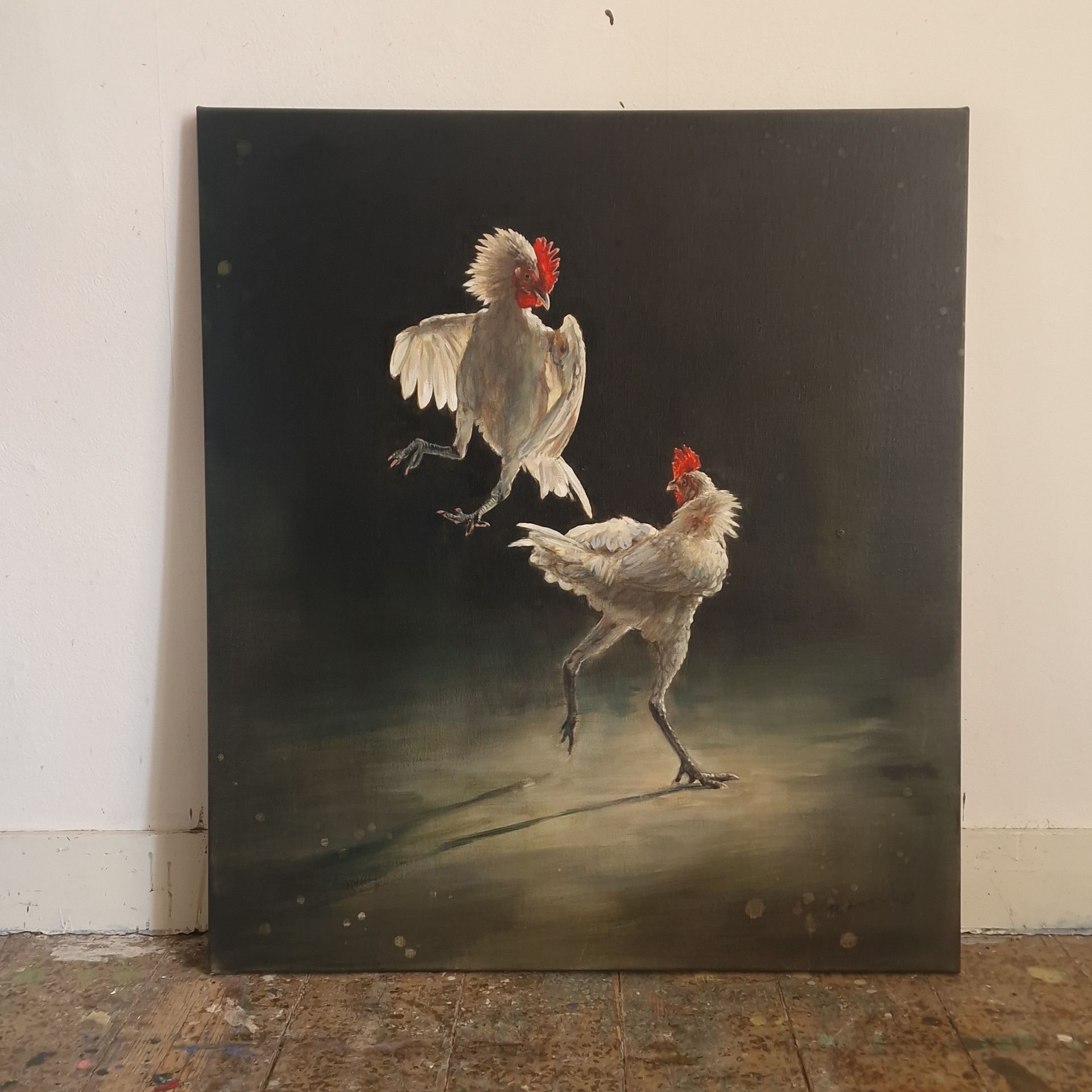 Twee witte hanen met rode kammen op een donker doek, één staand en één midden in een sprong.