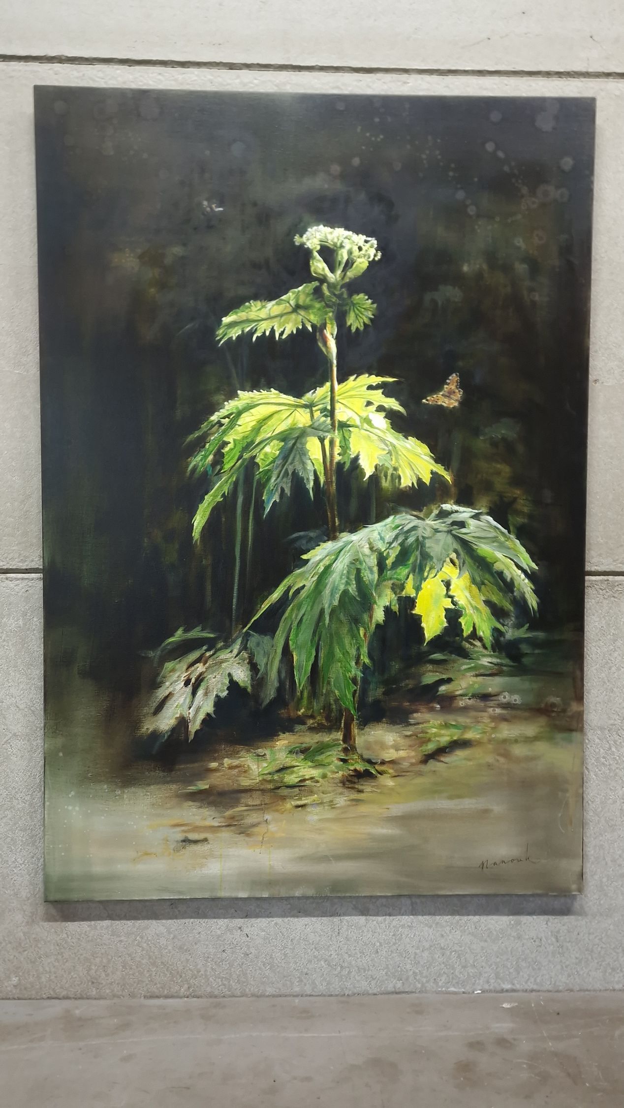 Een klein groen plantje met hangende bladeren in een donker, sfeervol schilderij tegen een effen muur.