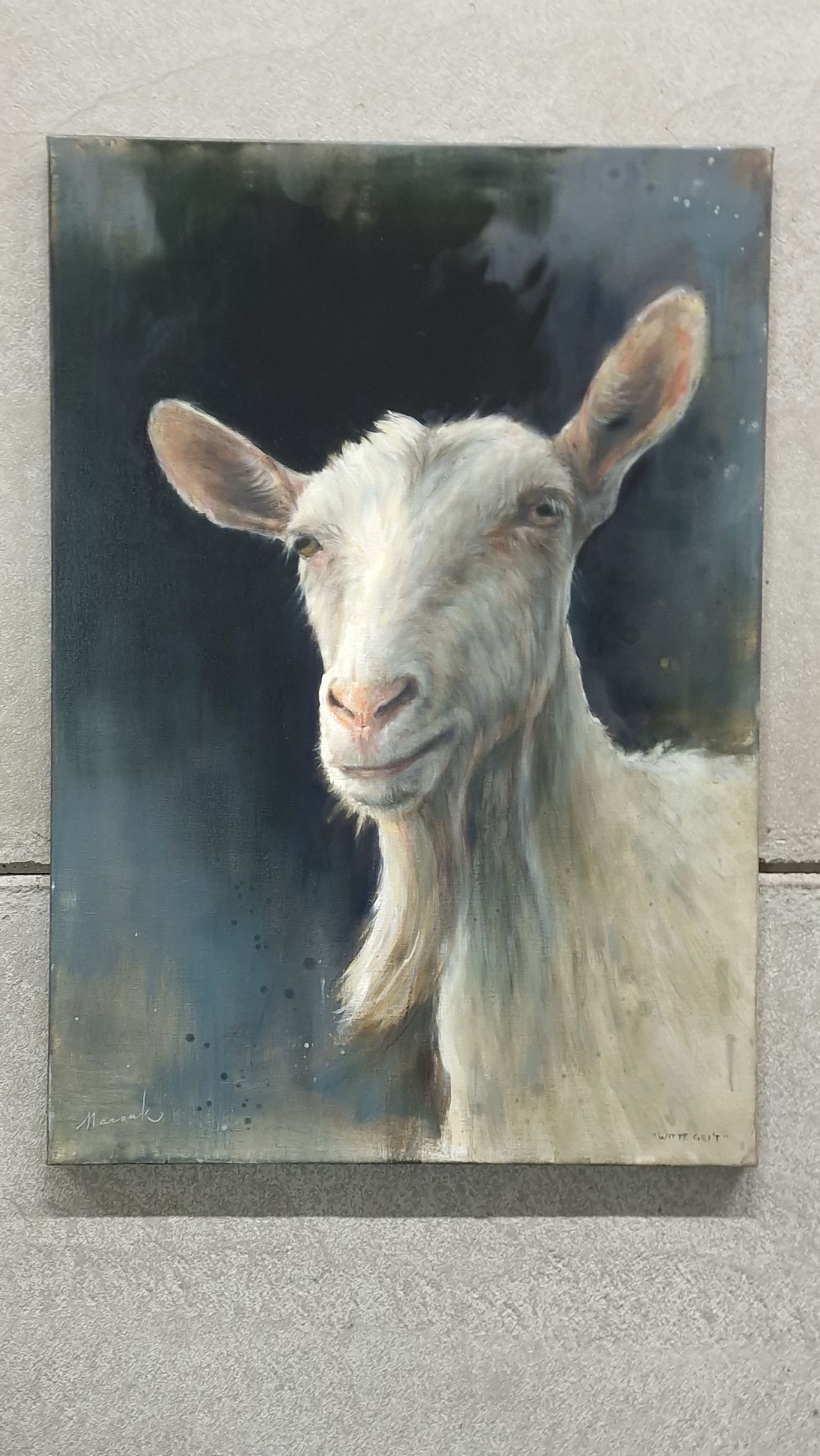 Portret van een witte geit met lange oren en baard tegen een donkere achtergrond.