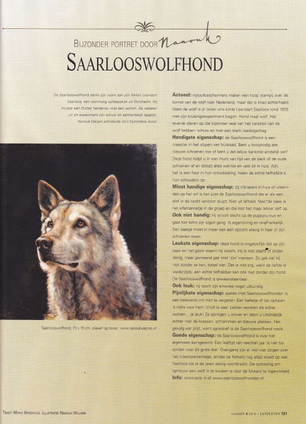 Een tijdschriftartikel over een saarlooswolfhond