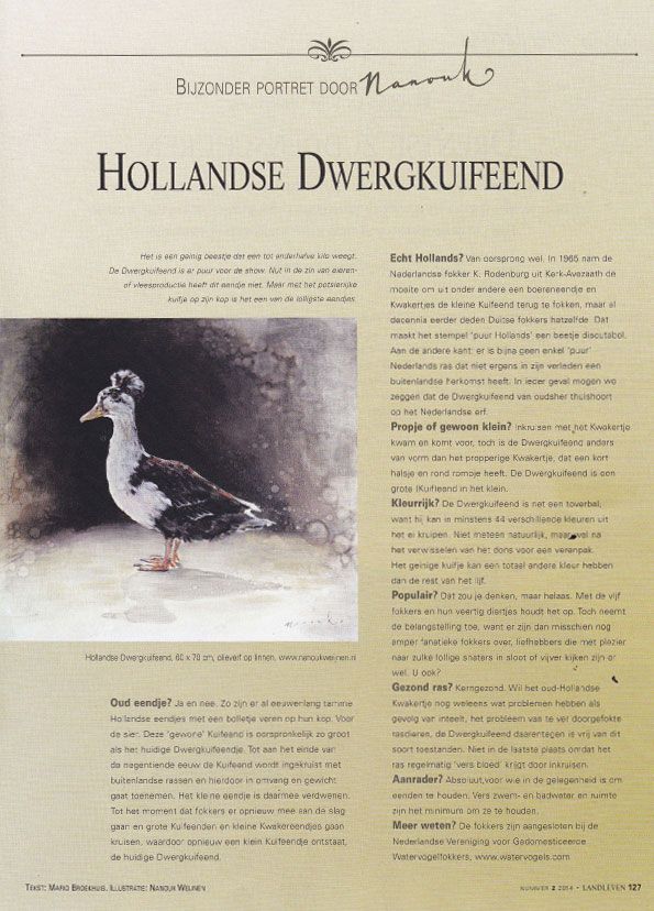 Een poster met een afbeelding van een eend erop.