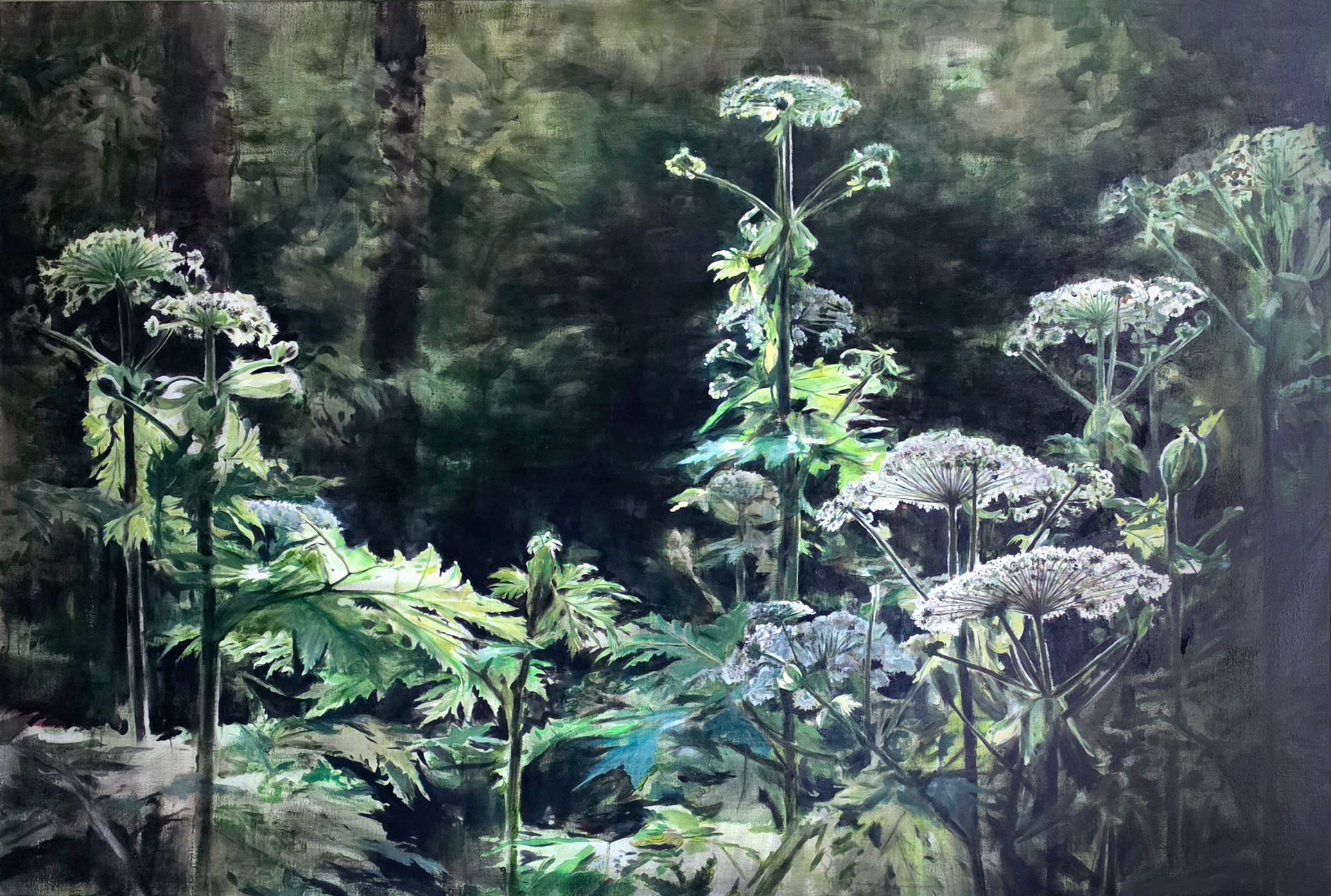 Weelderig groen bos met hoge varens en parapluvormige planten tegen een donkere, mistige achtergrond.