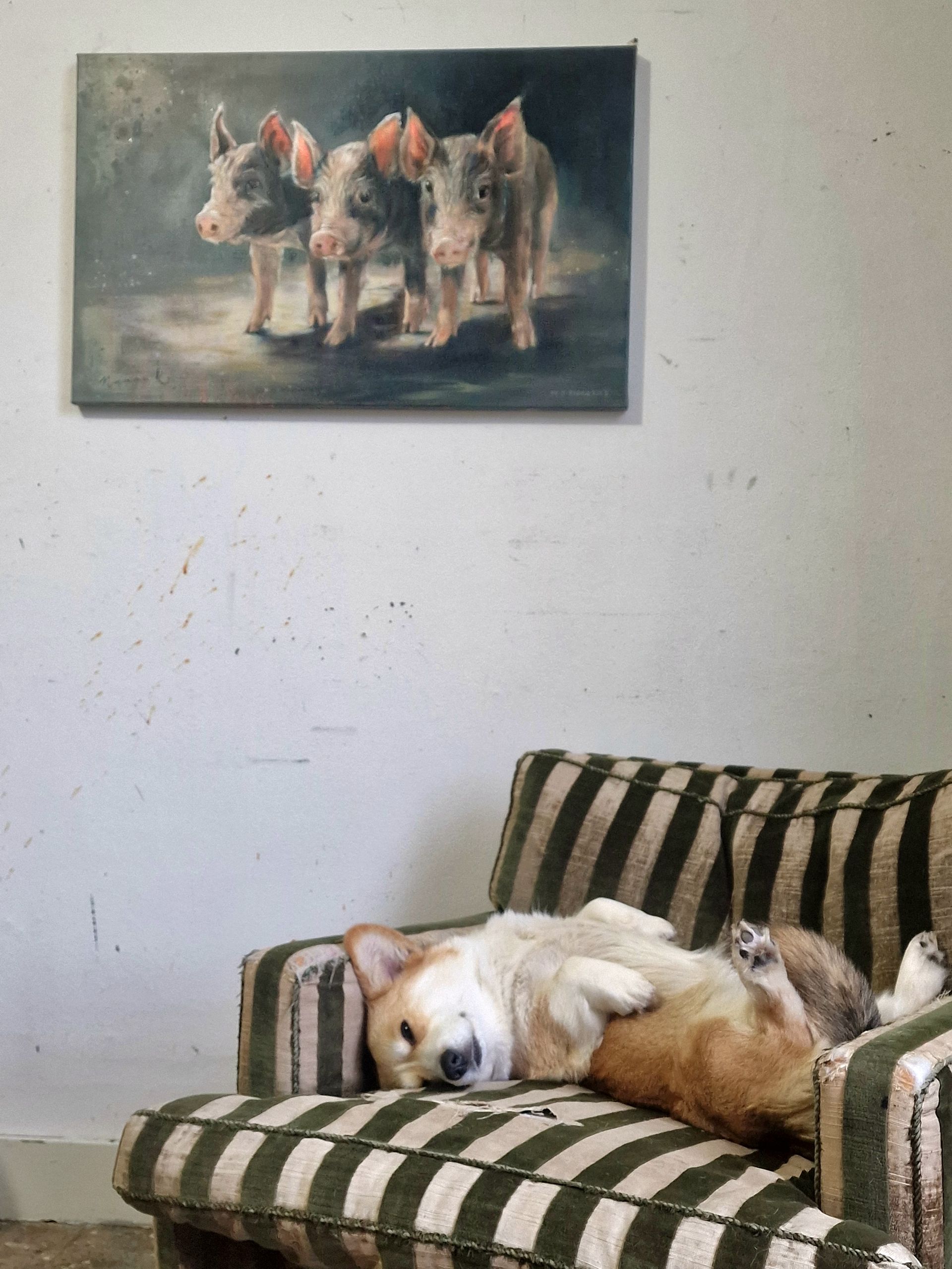 Een hond ligt op een gestreepte bank voor een schilderij van varkens aan de muur.