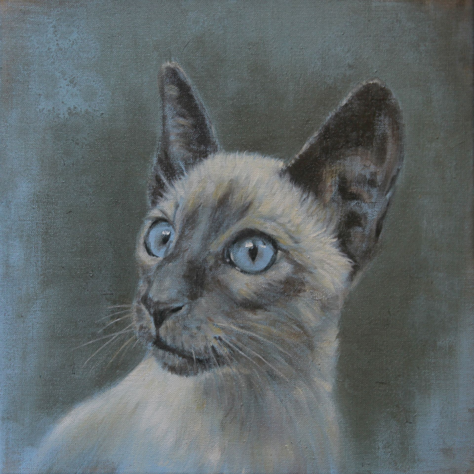 Een schilderij van een siamese kat met blauwe ogen