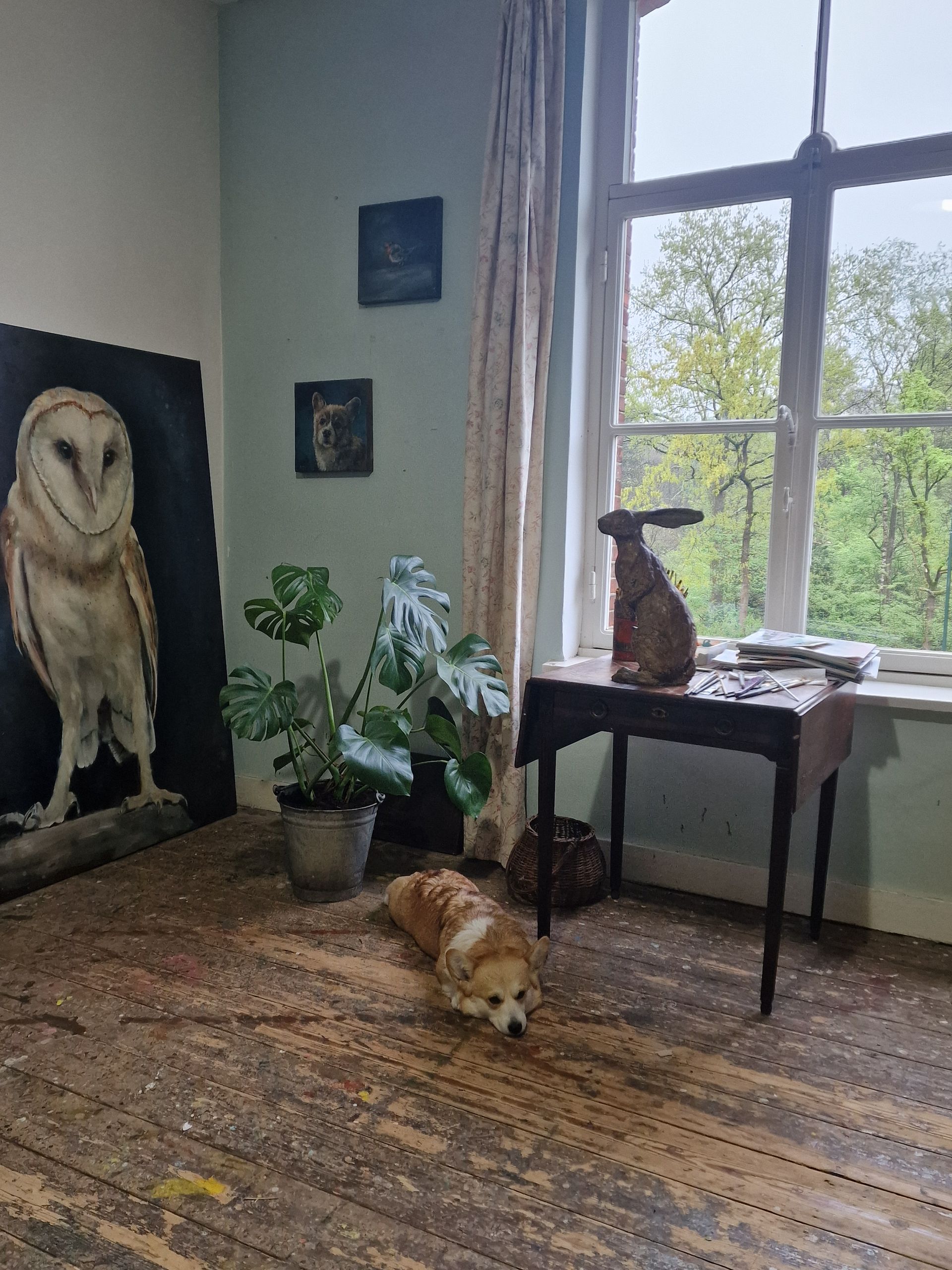 Een hond ligt op de grond in een kamer met een schilderij van een uil aan de muur.