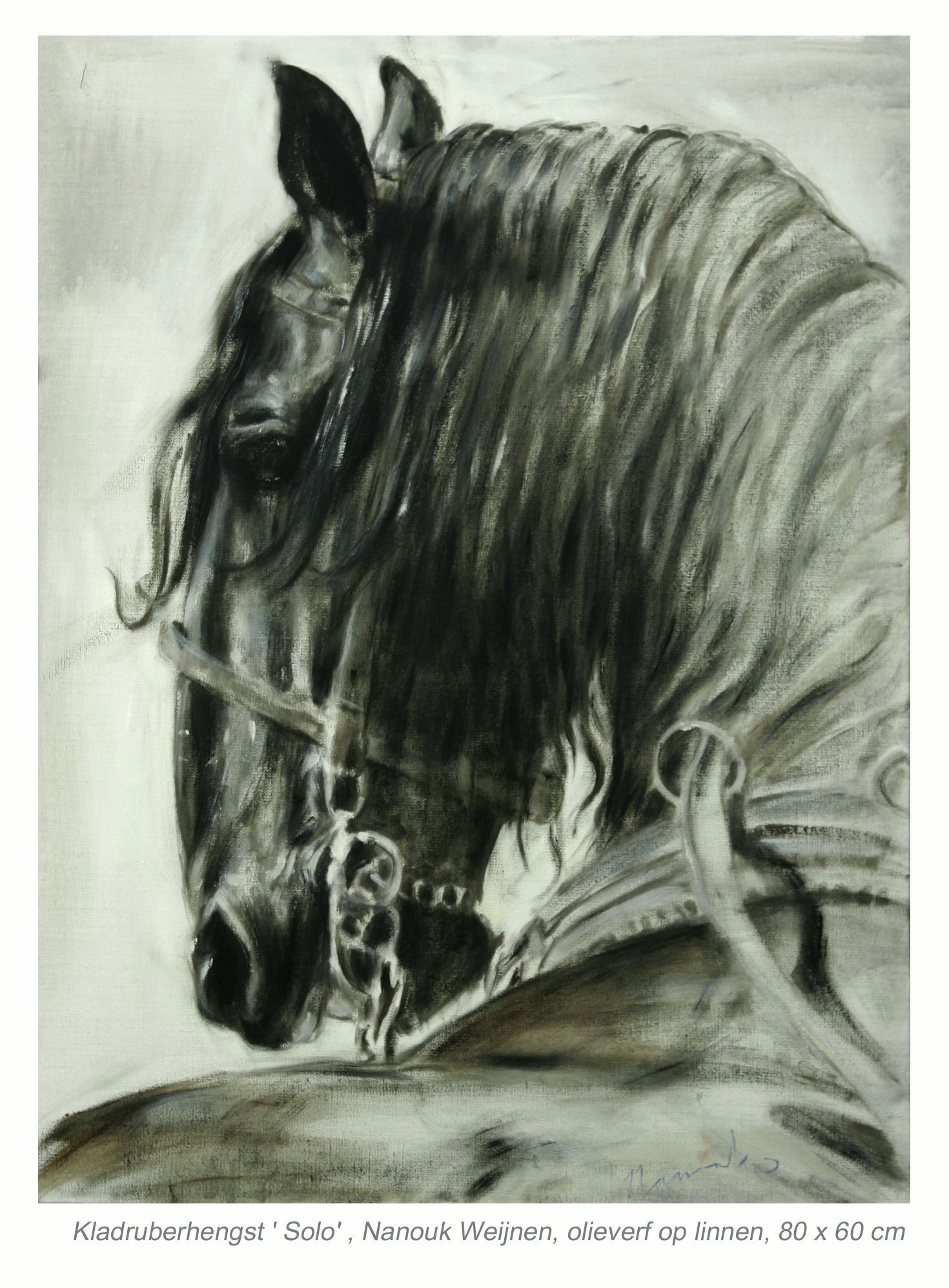 Een zwart-wit tekening van een paard met een teugel