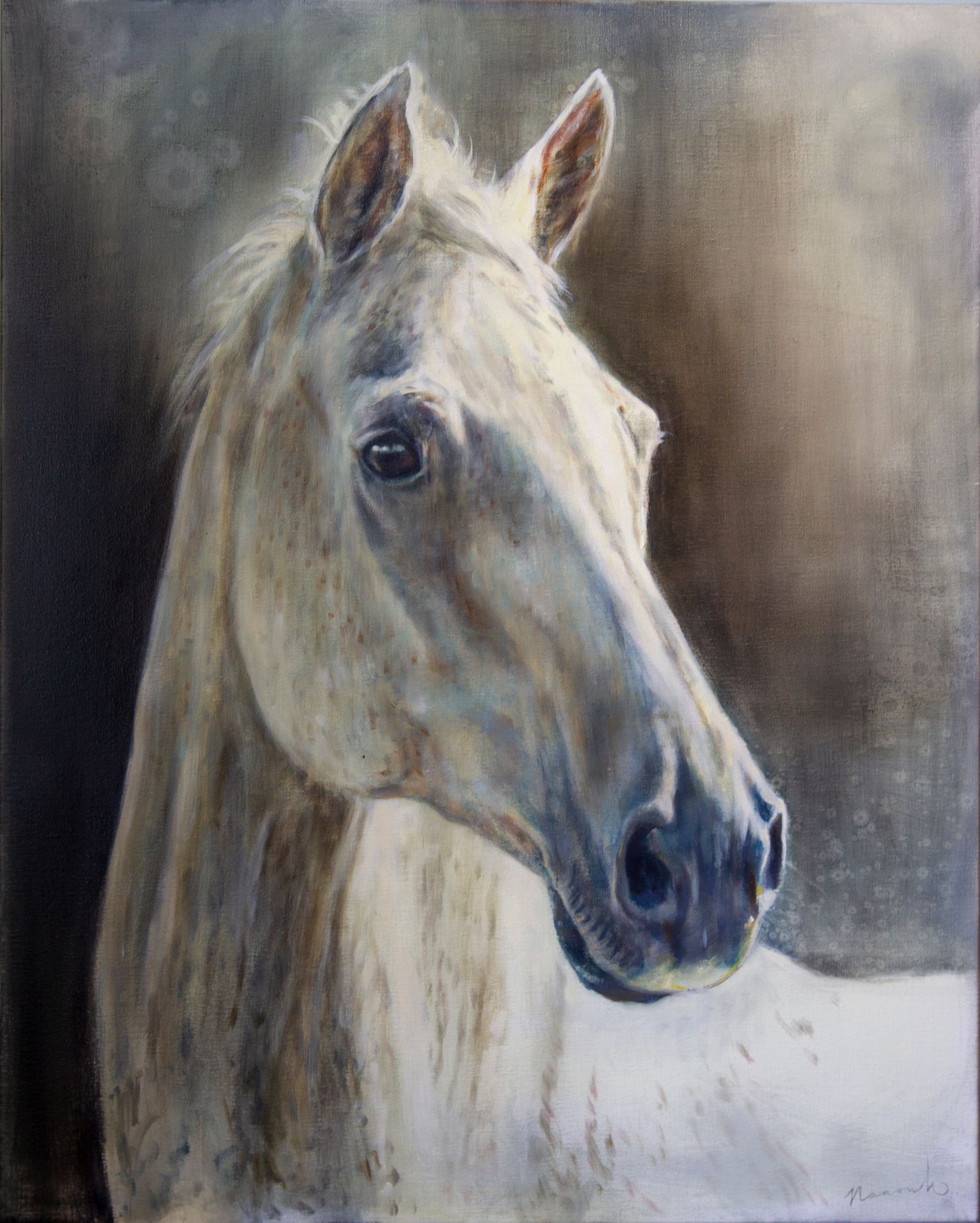 paardenportret