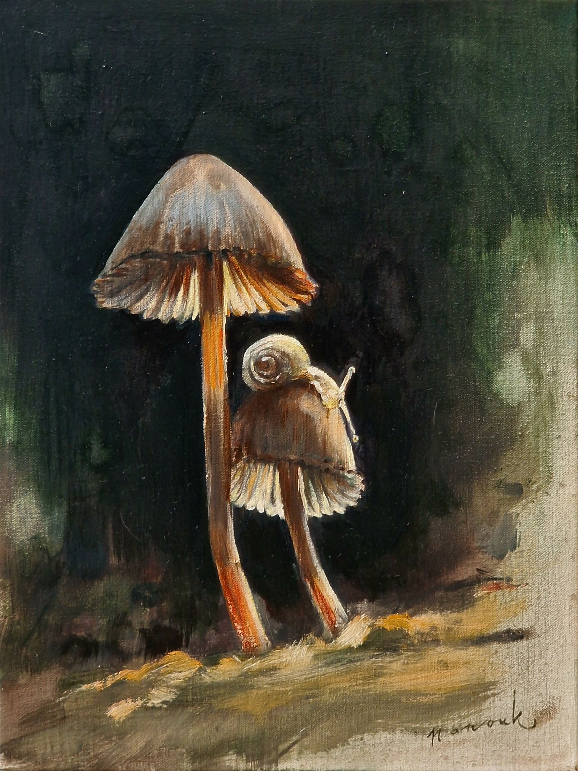 Twee paddenstoelen met bruine hoedjes en stelen in een donkere bosomgeving.