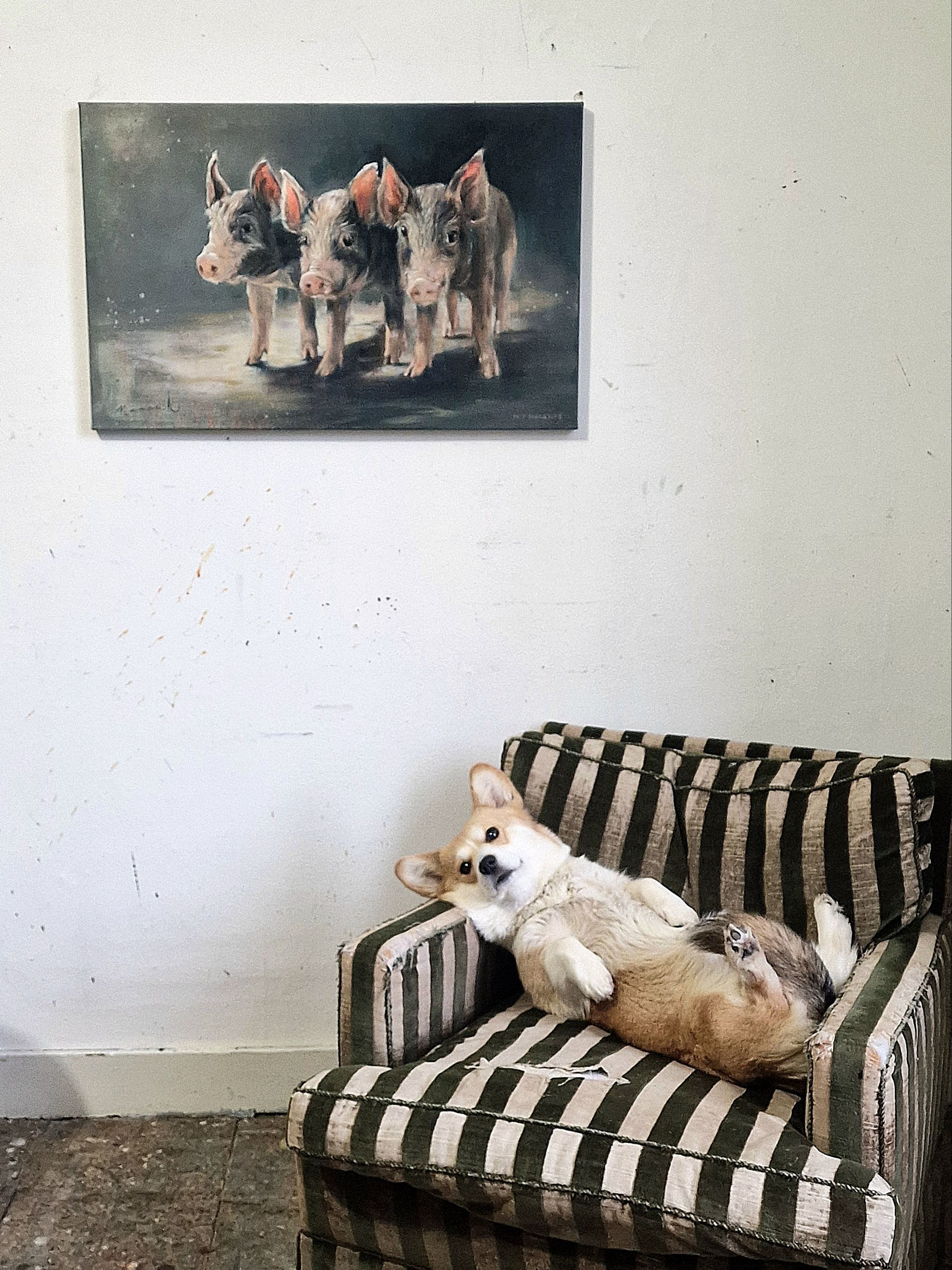 Een hond ligt op een stoel voor een schilderij van varkens aan de muur.