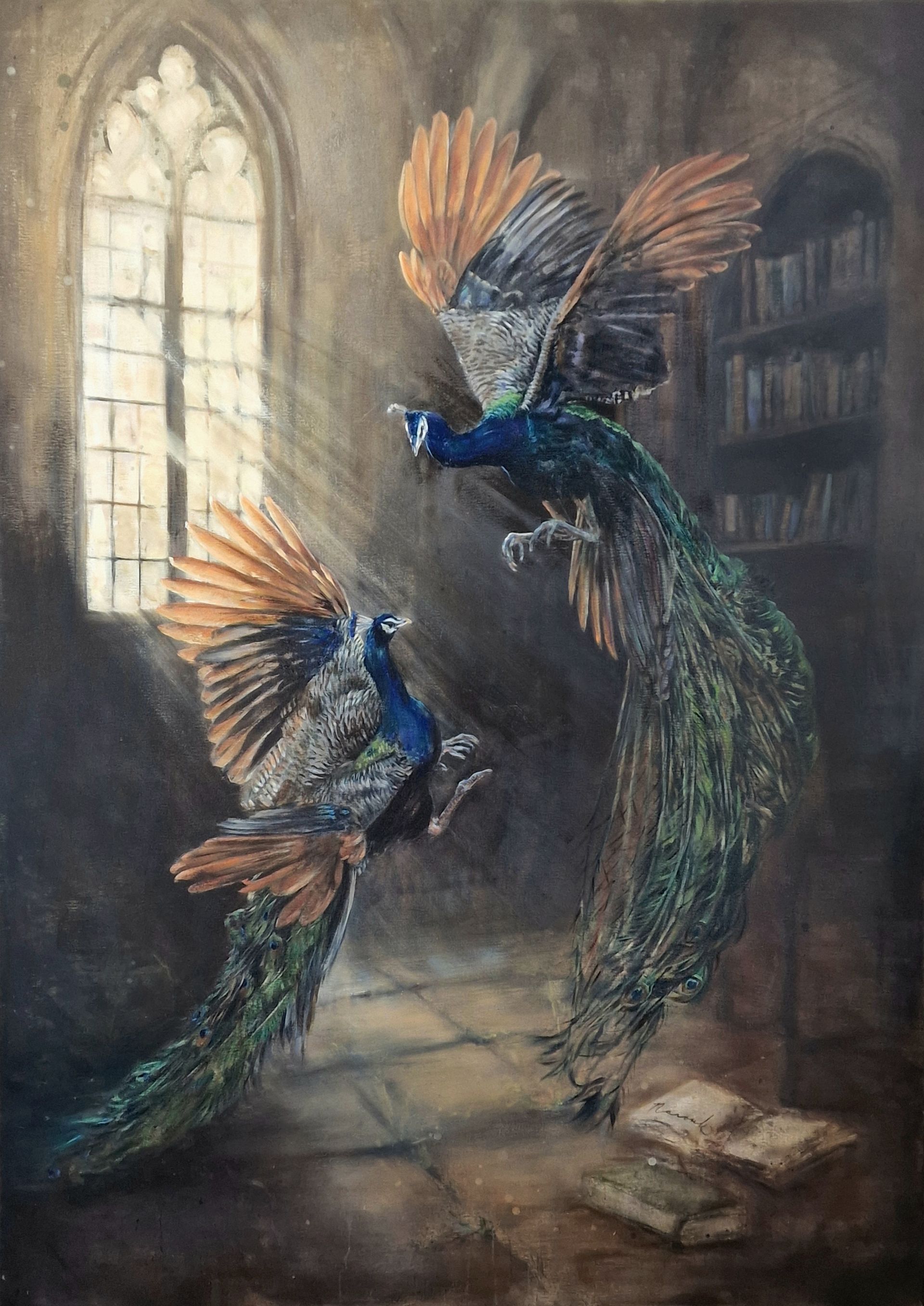 Twee blauw-oranje vogels dansen in een schemerige bibliotheek naast een raam waar de zon op schijnt.