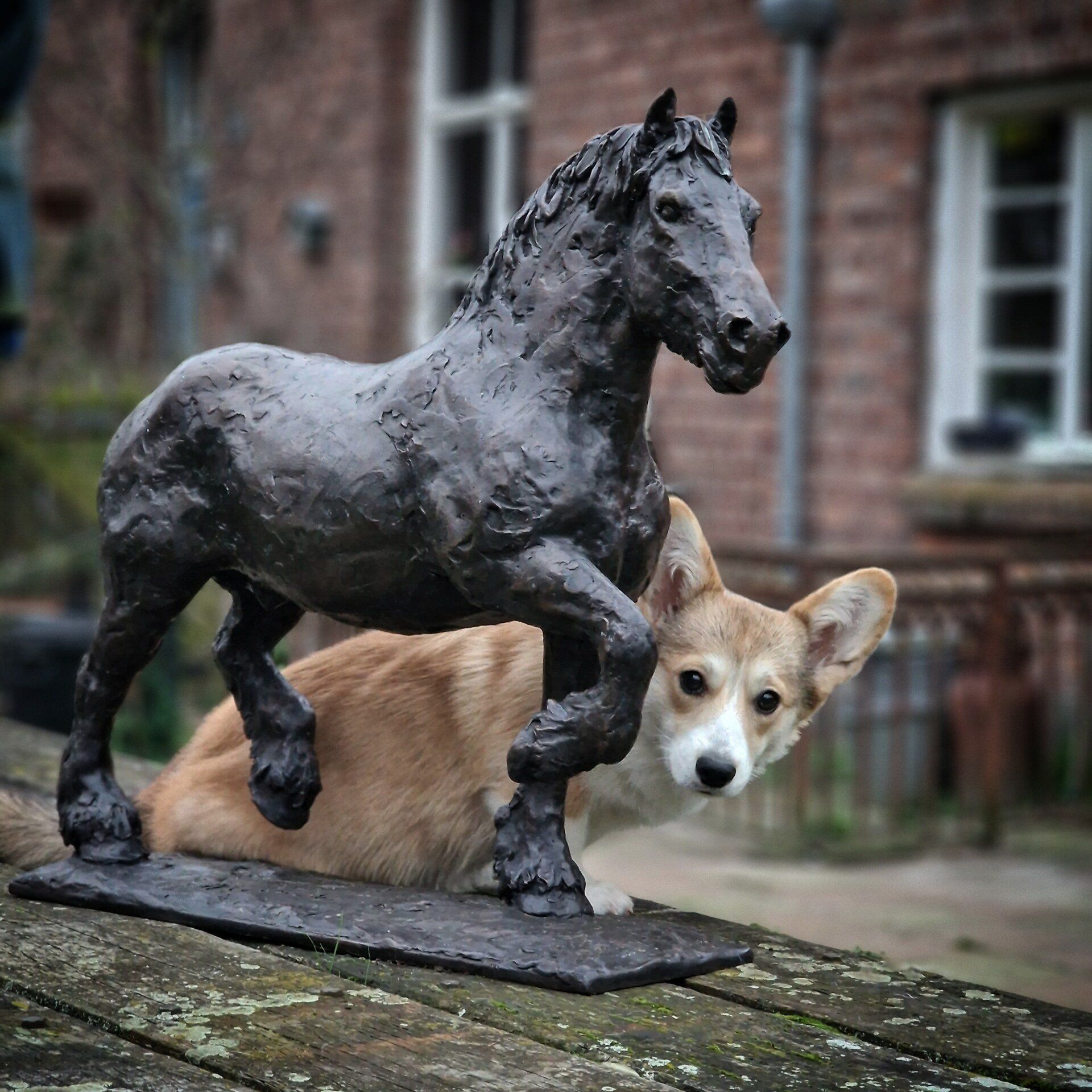 Een hond die naast een standbeeld van een paard ligt
