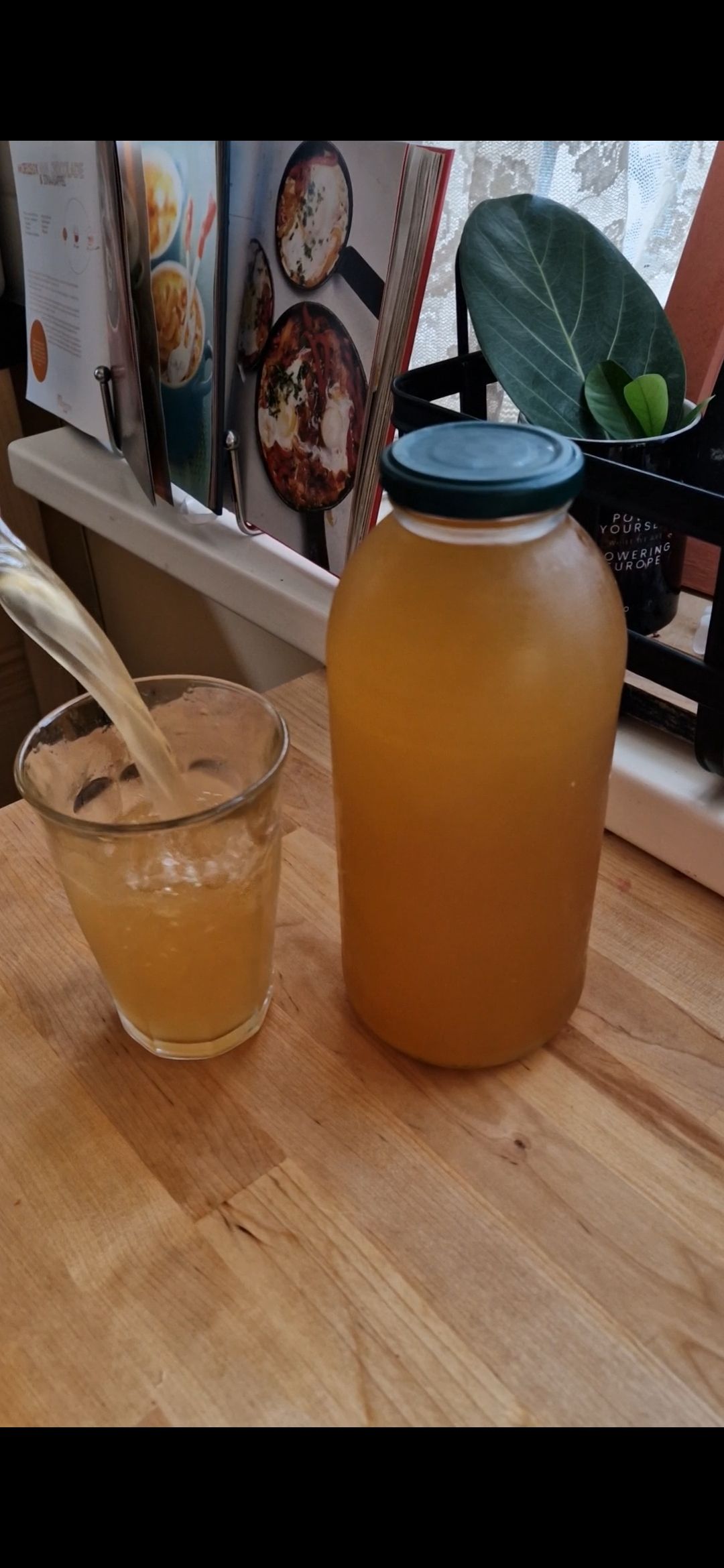 Kombucha inschenken
Kombucha brouwen
Kombucha drinken
Kombucha gezondheid
Kombucha tips