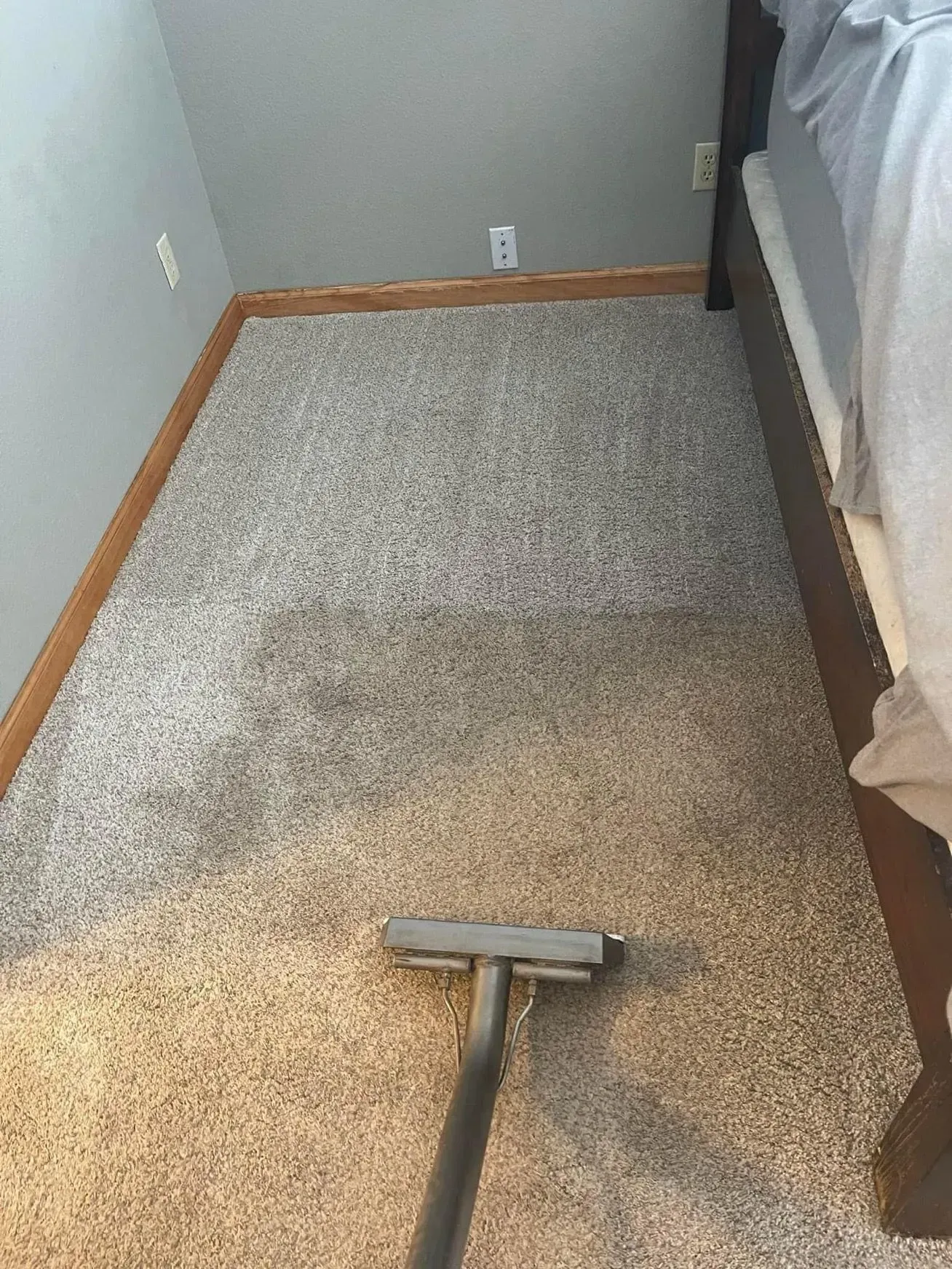 Vacuum cleaner on a beige carpeted bedroom floor beside a bed and gray walls