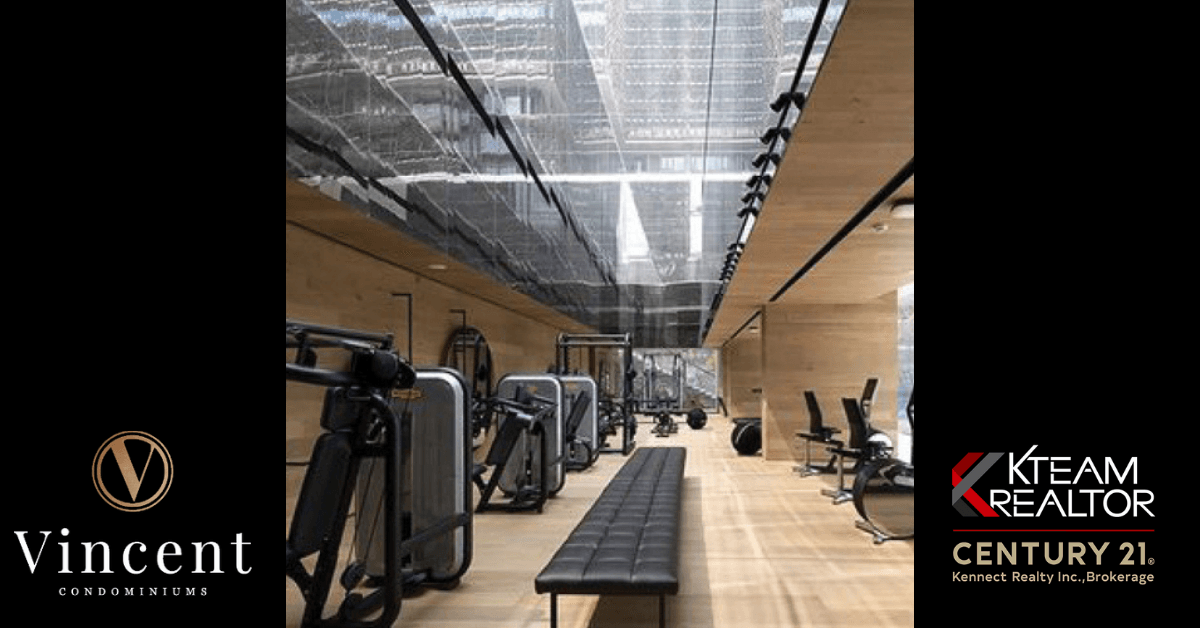 A gym with a bench and a bicycle in it