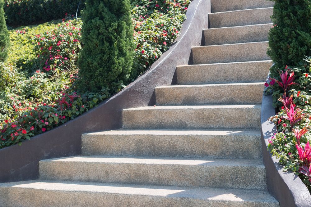 Concrete garden stairs bordered by flowering plants and shrubs
