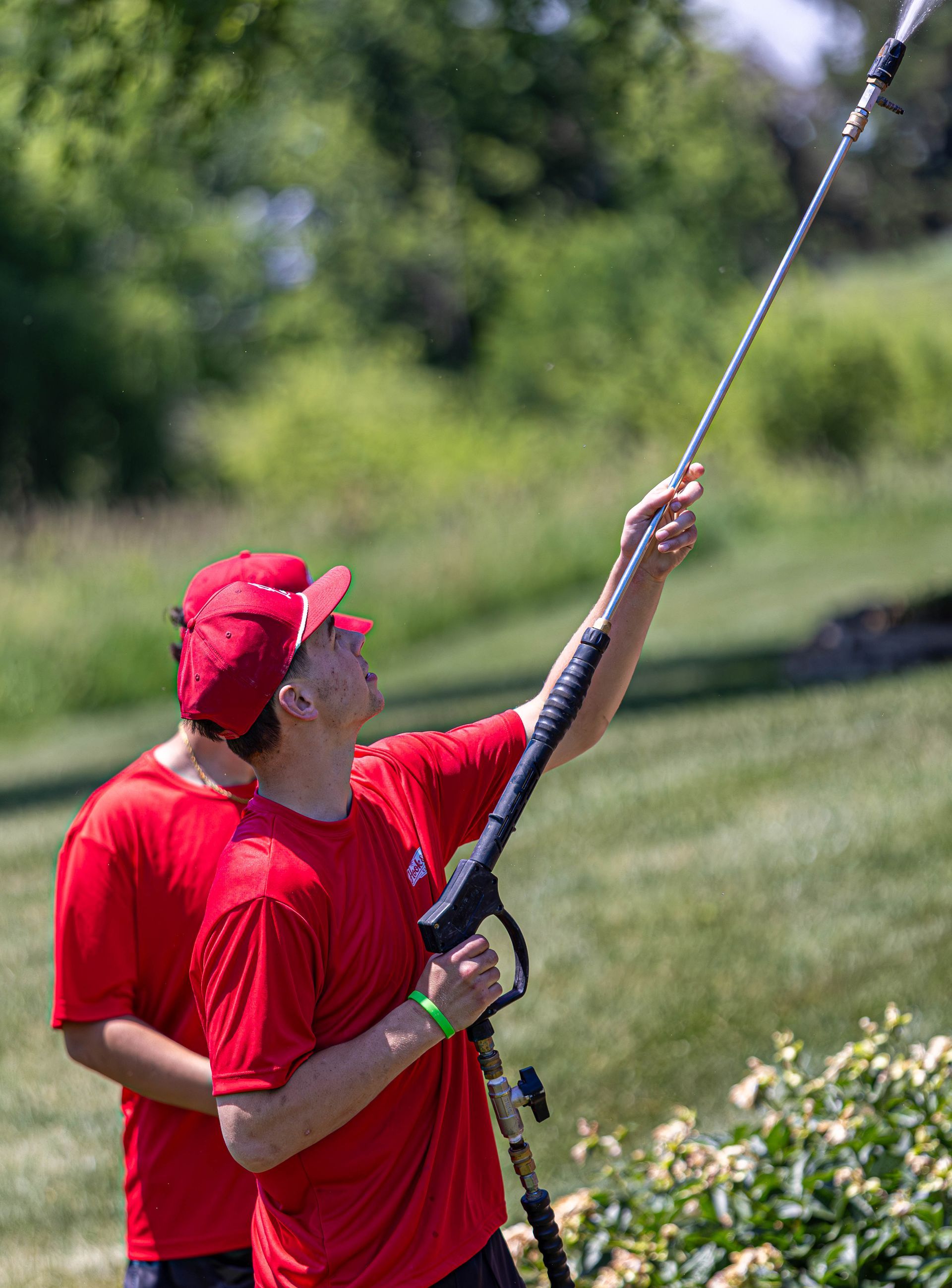 Person in red shirt and cap reaching up with a long pole in a grassy outdoor area